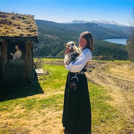 Fjellhotell * Skabu