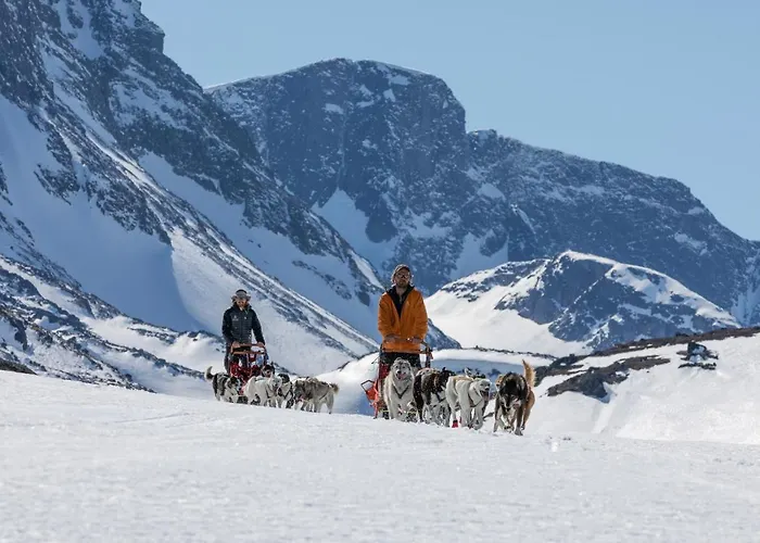 Fjellhotell Отель