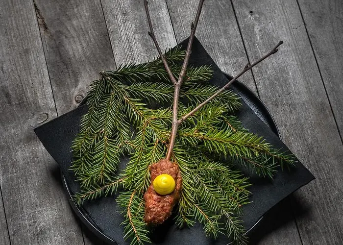 Отель Fjellhotell Skabu